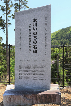 女川いのちの石碑外観（女川いのちの石碑・横浦）